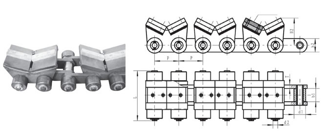 Conveyor Chain for Rollers Structure Diagram