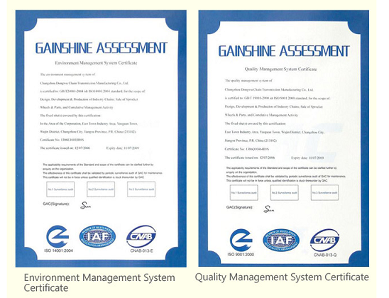 Drag Drive Conveyor chain Quality management system certification